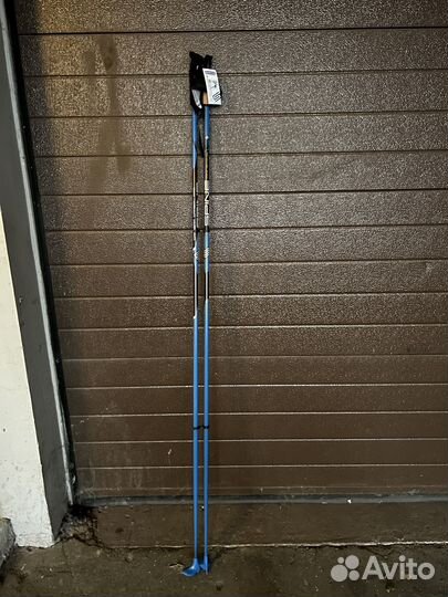 Лыжные палки spine