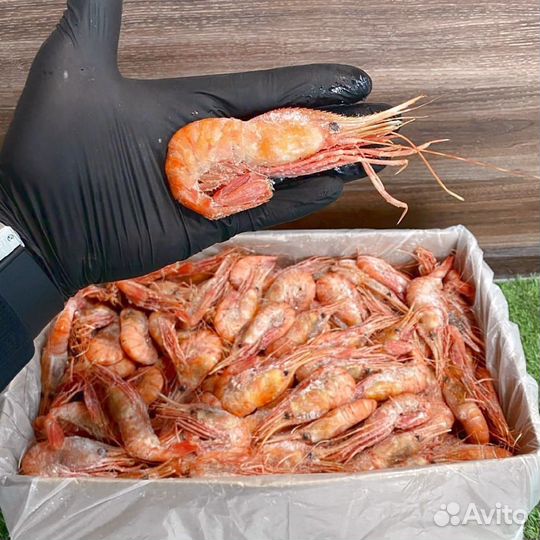 Креветка Ботан