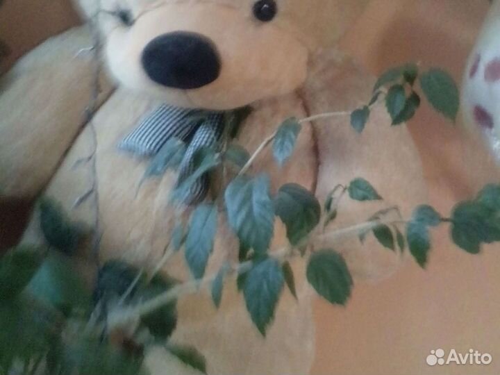 Мишка1.5 метра