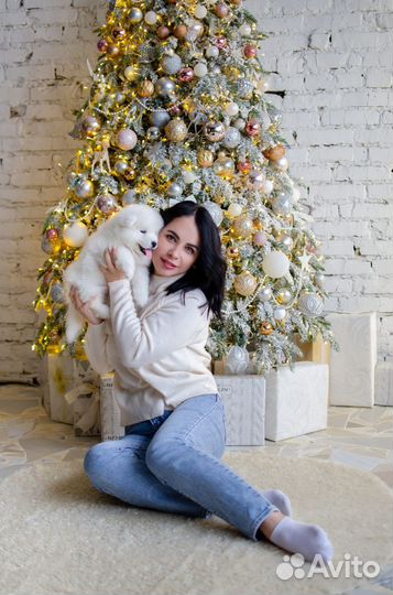 Фотосессии барнаул