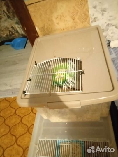 Клетка для хомяка контейнер дюна