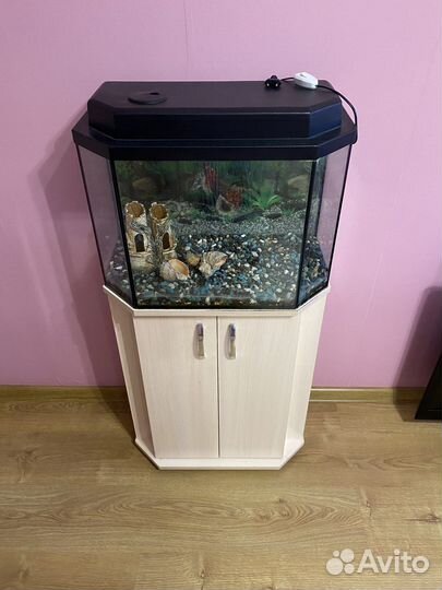 Аквариум