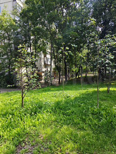 1-к. квартира, 32 м², 1/9 эт.