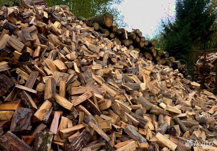 Дрова в СПБ