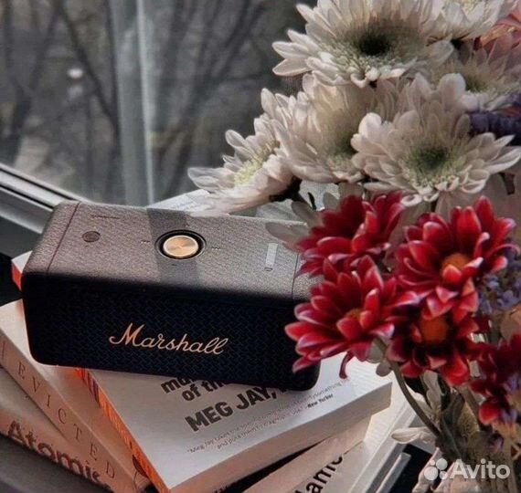 Портативная колонка Marshall