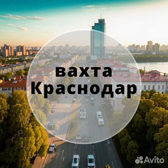 Курьер, бесплатно жилье/питание/вело, г.Краснодар