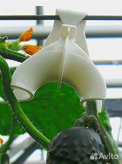 Крюк для огурца