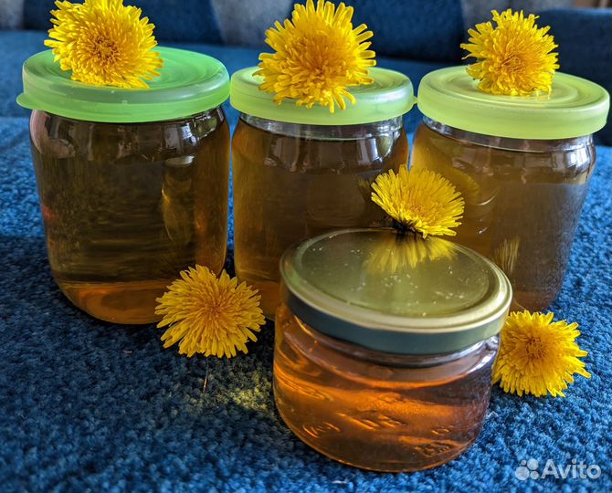 Одуванчиковый мёд (варенье из одуванчика )