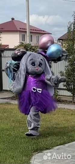 Аэромедведь Барни и ростовые куклы Мишка и Зая