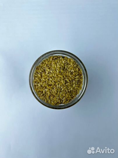 Горчица Желтая / Семена горчицы