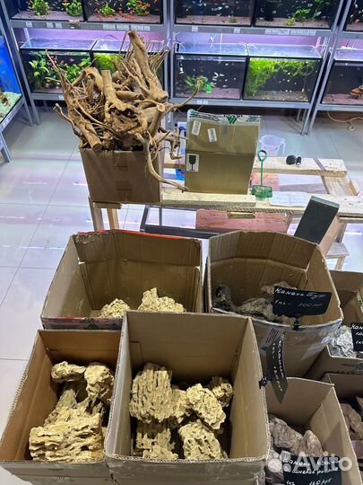 Аквариумные рыбки