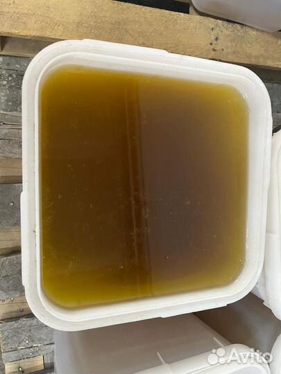 Натуральный майский мед оптом