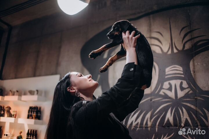 Франшиза груминг салон. Готовый бизнес