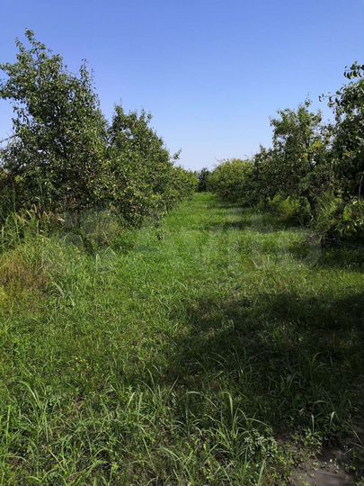 Участок 100 сот. (ИЖС)