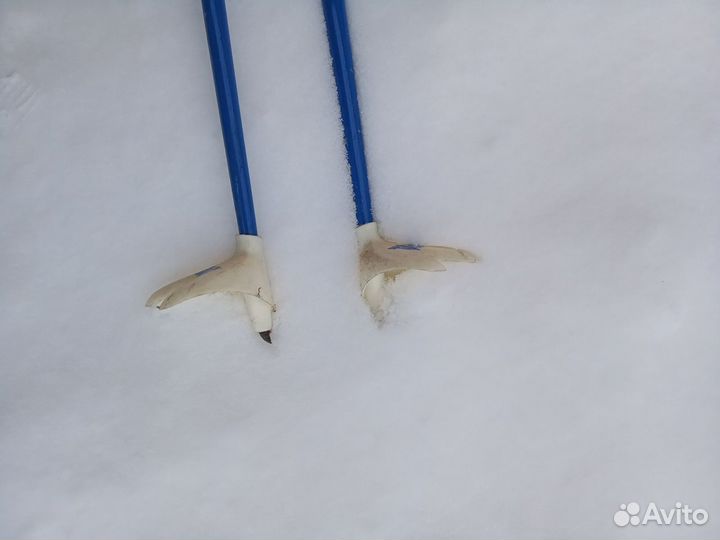 Лыжные палки