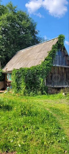 Дом 20 м² на участке 10 сот.