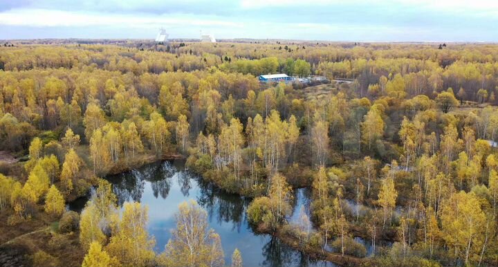 Участок 8,9 сот. (СНТ, ДНП)