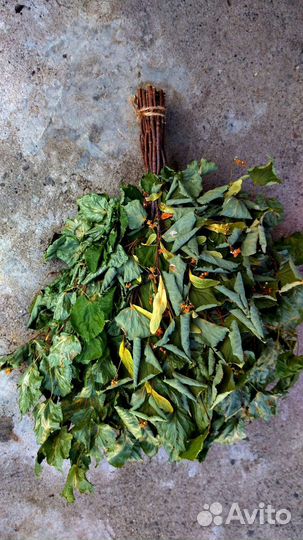 Веники для бани