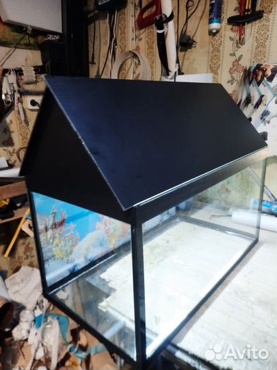 Морская свинка, кролики