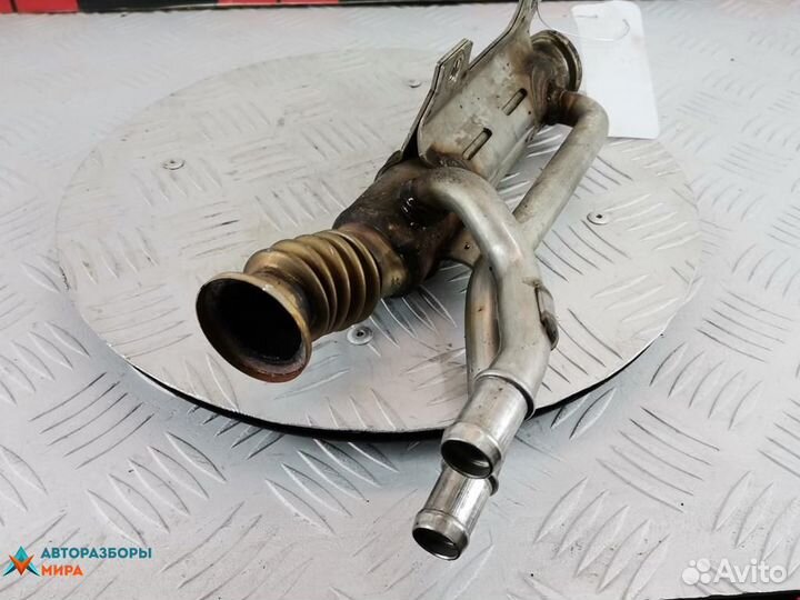 Охладитель EGR / Радиатор EGR Renault Scenic 2