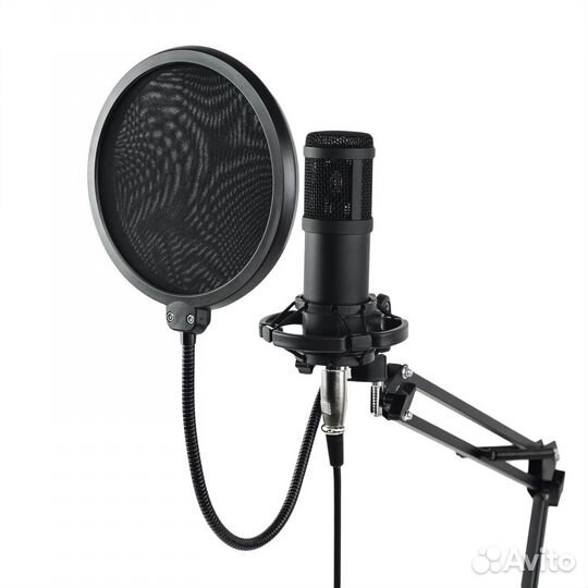 Профессиональный конденсаторный микрофон BM800 ISA