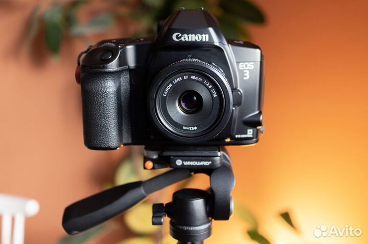 Canon EOS-3 w/EF 40mm f/2.8 STM