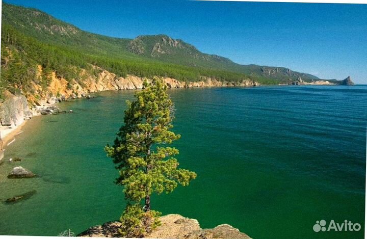 Авторский-тур на Байкал летом 4 до 8 дн