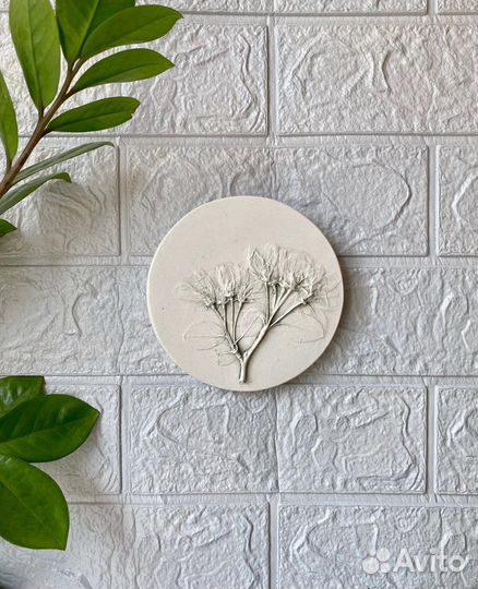 Ботанический барельеф