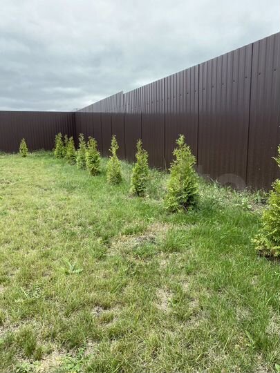 Участок 10 сот. (ИЖС)