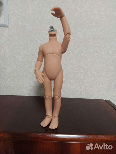 Шарнирное тело для Паола Рейна