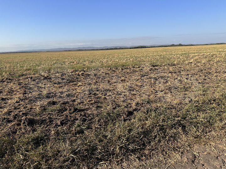 Участок 4 га (СНТ, ДНП)