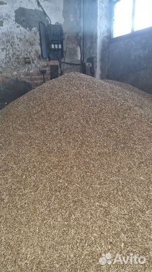 Зерно отходы(пшеница)