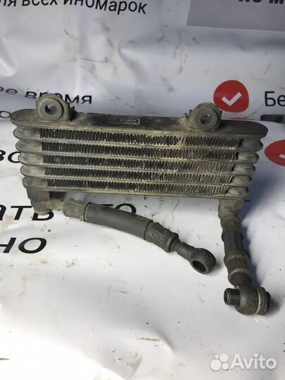 Радиатор масляный Suzuki TL1000 T501