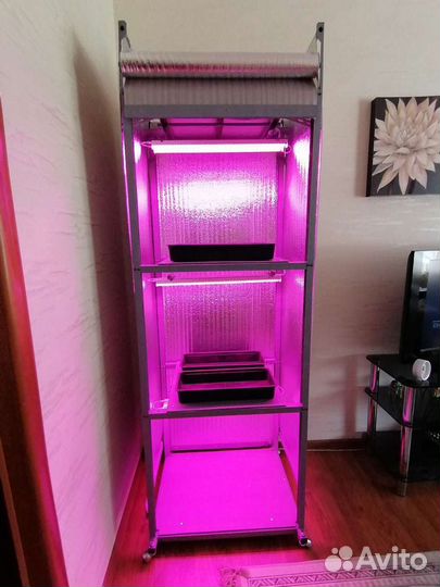 Домашний огород дл выращивания зелени, рассады