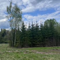 Участок 10,9 сот. (ИЖС)