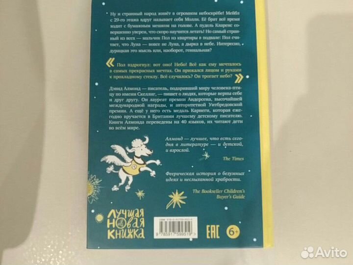 Детская книга мальчик залез в луну Самокат