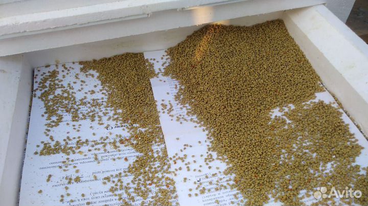 Пыльца (опт, розница)