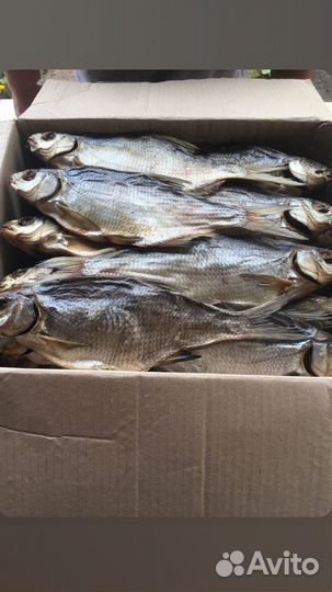 Астраханская рыба