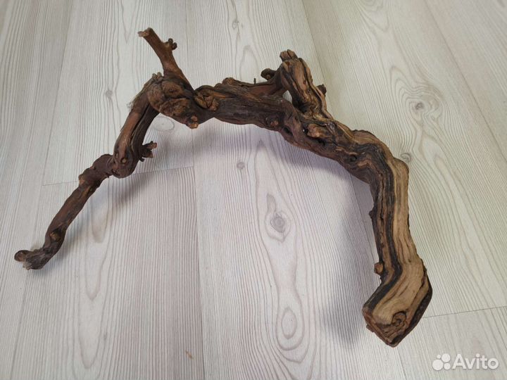 Для аквариума