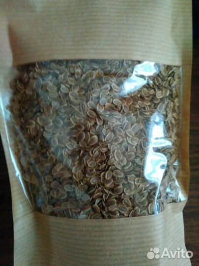 Семена укропа