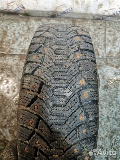 Cordiant Polar 175/70 R14