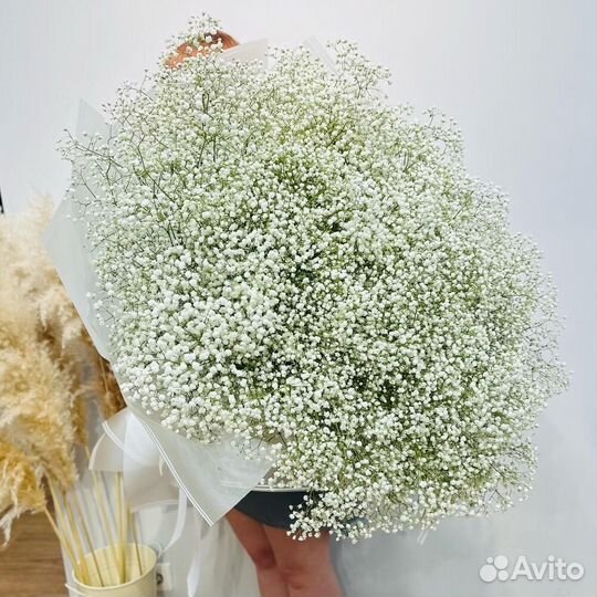 Элит букет 25 веток белоснежной гипсофилы
