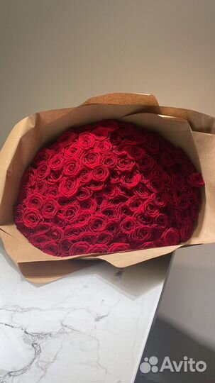 51 роза. 75 роз. 101 роза. Красная роза