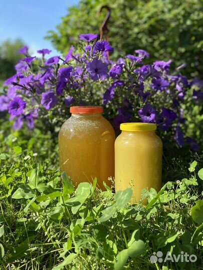 Мед с домашней пасеки (липа, разнотравье)