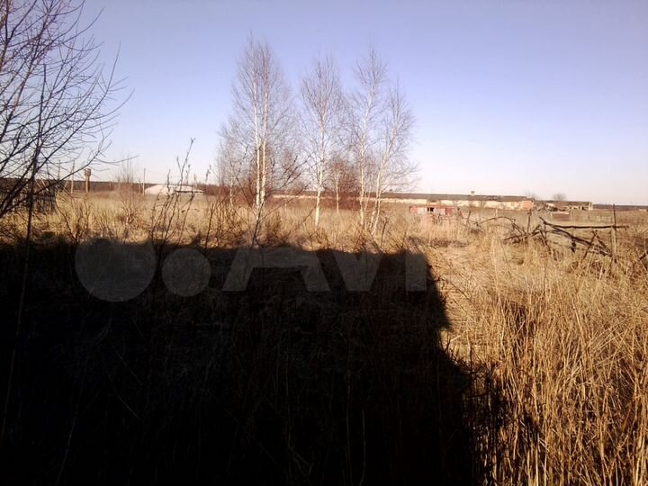 Участок 32 сот. (ИЖС)