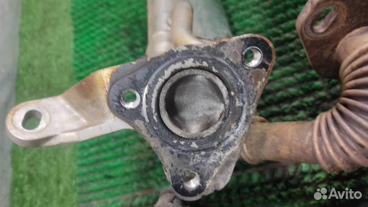 Радиатор системы EGR Renault Duster 2017