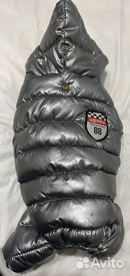 Одежда для собак мелких пород