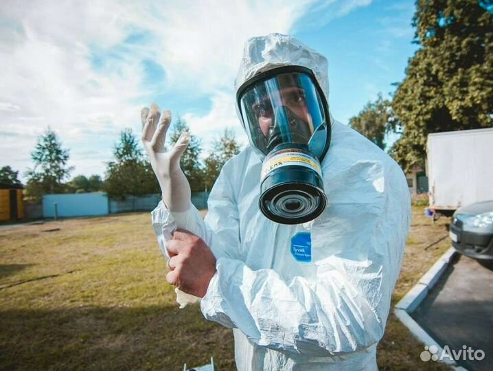 Уничтожение клопов и тараканов(муравьев, кротов, к