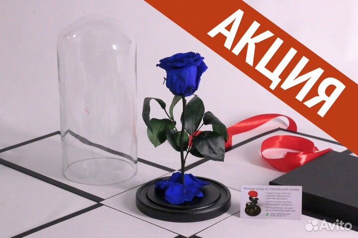Подарок жене/ Роза в колбе опт