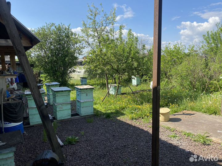 Пчелы и улья